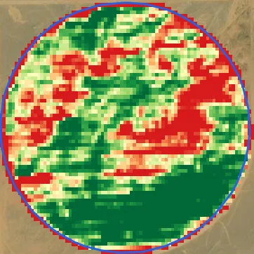 Canopy health map of the same field seven weeks later, showing stressed patchy growth in the section flagged in December